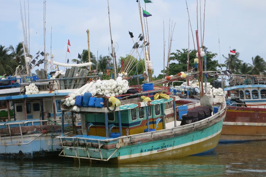 91. photo gallery.JPG